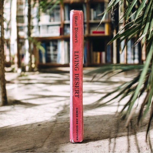 VINTAGE 1954 Walt Disney’s Living Desert - A True-Life Adventure Hardcover - Picture 4 of 16